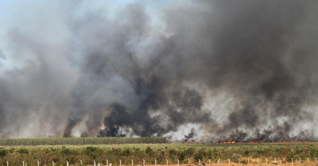 Resultado de imagem para incêndio destrói área na zona rural de Luís Eduardo Magalhães